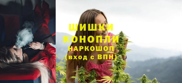 сатива Беломорск