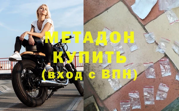 сатива Беломорск