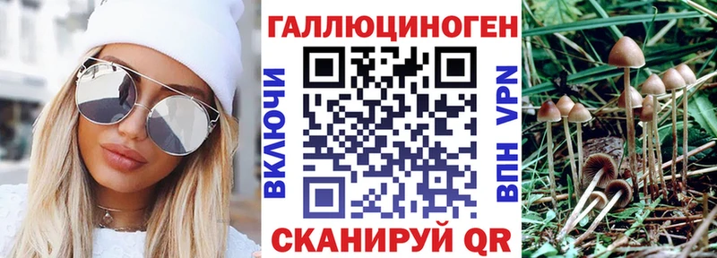 это Telegram  наркота  Дюртюли  Псилоцибиновые грибы Cubensis 